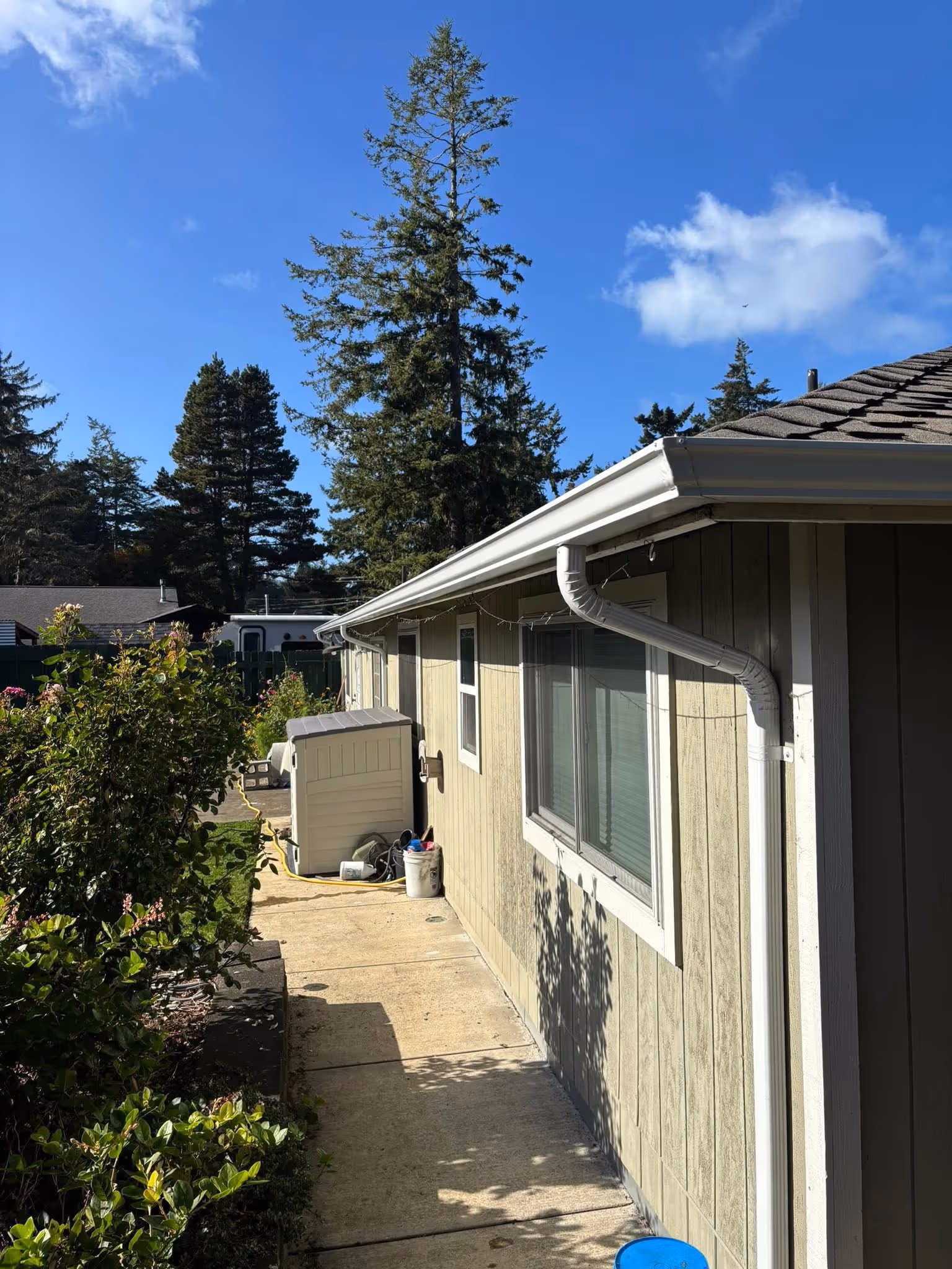 Side view of a house exterior with beige siding, white gutters, a window, green shrubs, and tall trees under a clear blue sky.