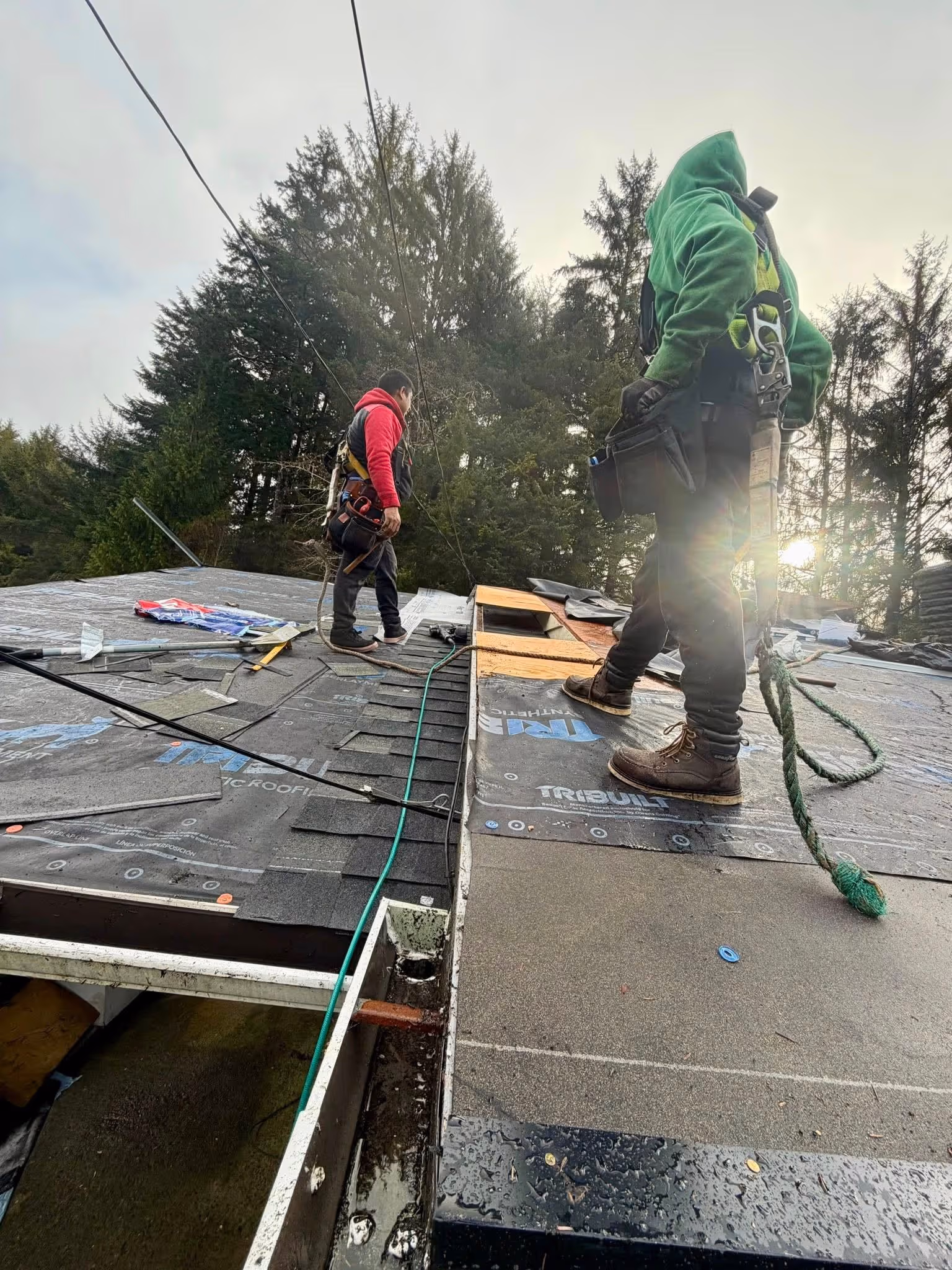 Two roofers working on a sloped roof with tools and safety harnesses, surrounded by tall trees and cloudy sky.